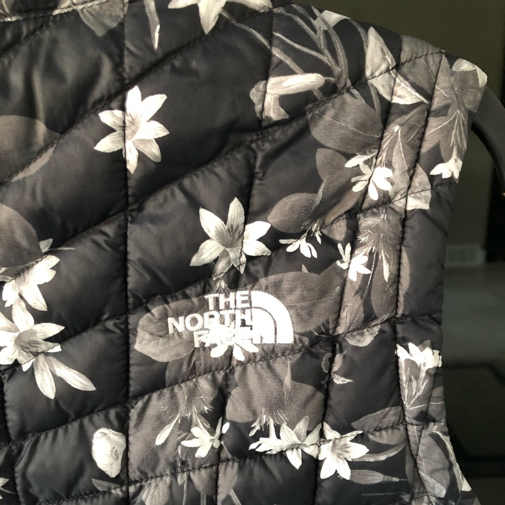 The North face quilted vest